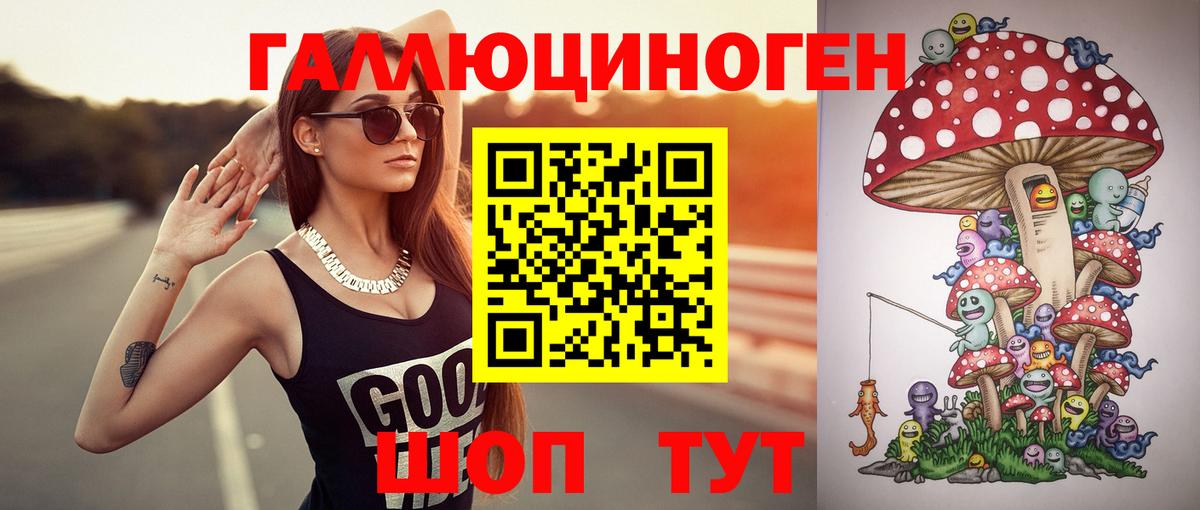 Соль-Илецк  Псилоцибиновые грибы Psilocybine cubensis  Вход с VPN  Галлюциногенные грибы ЛСД 
